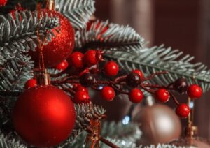 Sponsoren Kerstdrive 2024